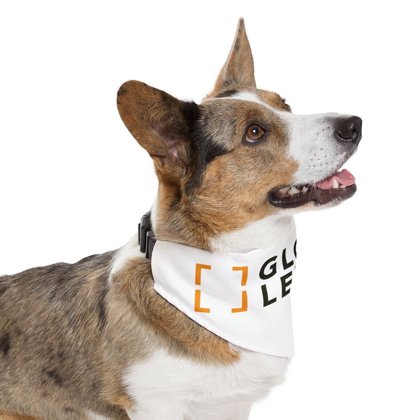 Pet Bandana Collar - Global Leisure