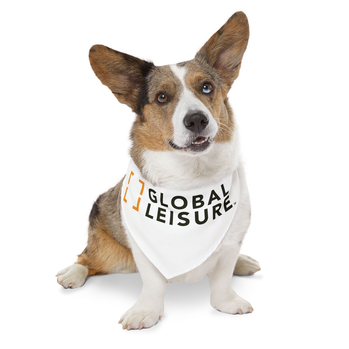 Pet Bandana Collar - Global Leisure